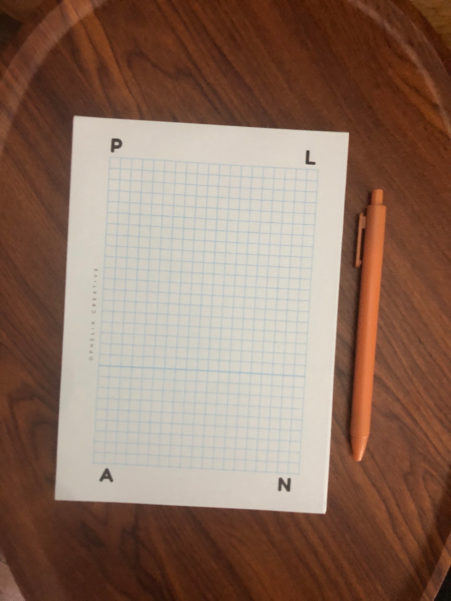 📅✨ Plan Your Success with Our Pink & Blue Grid-Lined PLAN Notepad! ✨📅